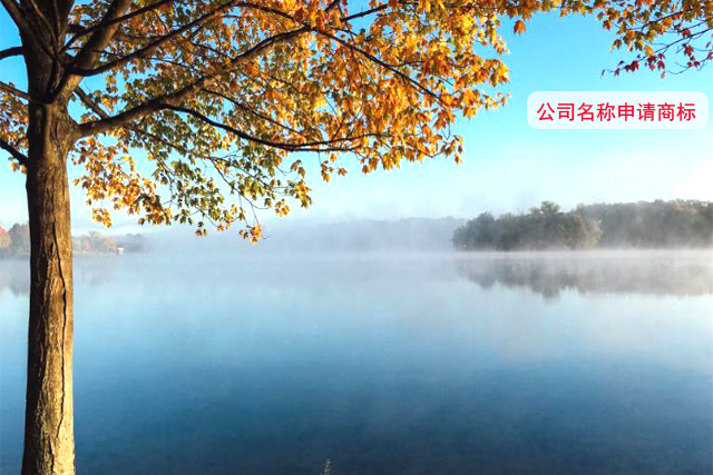 公司名稱(chēng)和商標(biāo)有什么不同?
